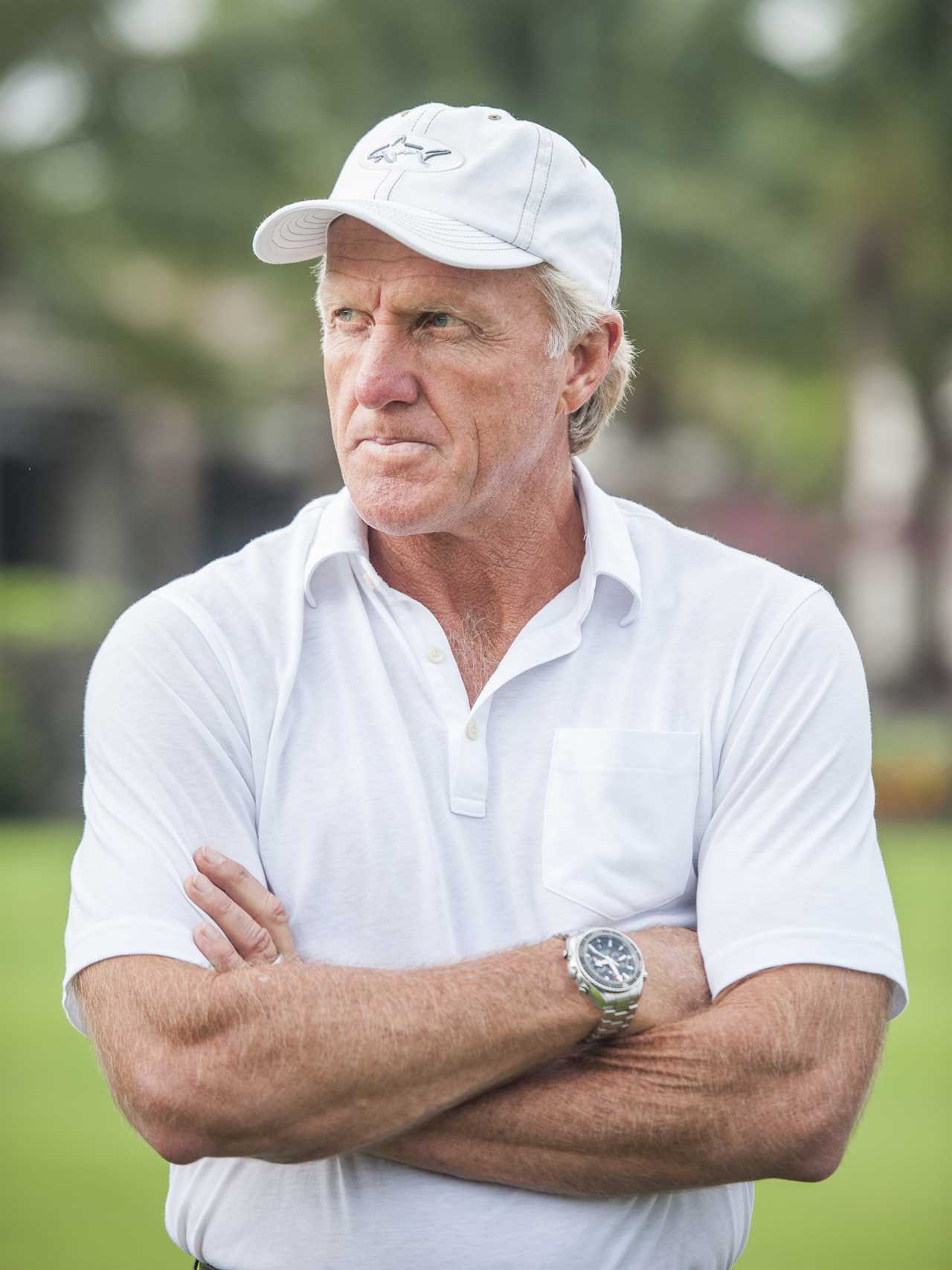 gregnorman