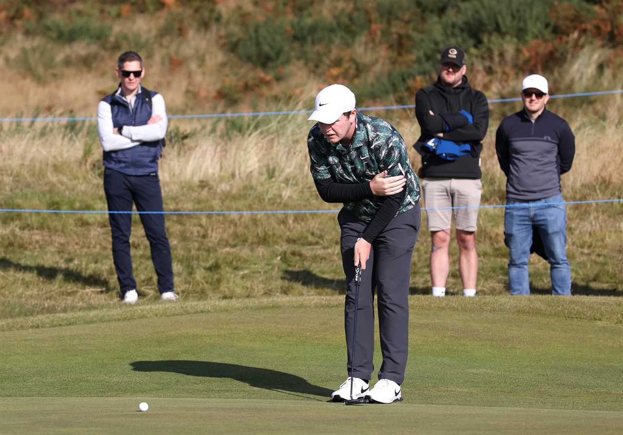 a man in a nike shirt is putting on a golf course