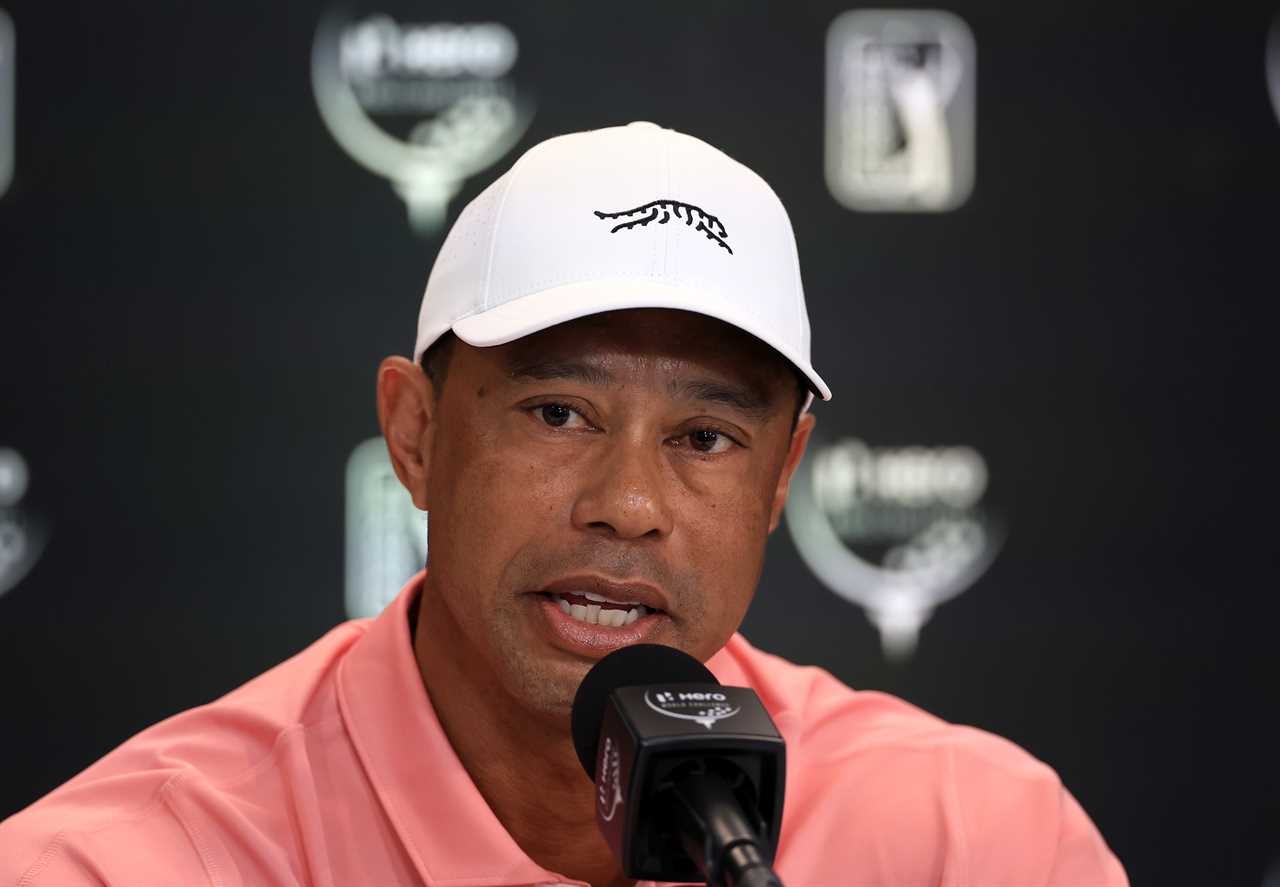 Tiger Woods at a press conference.