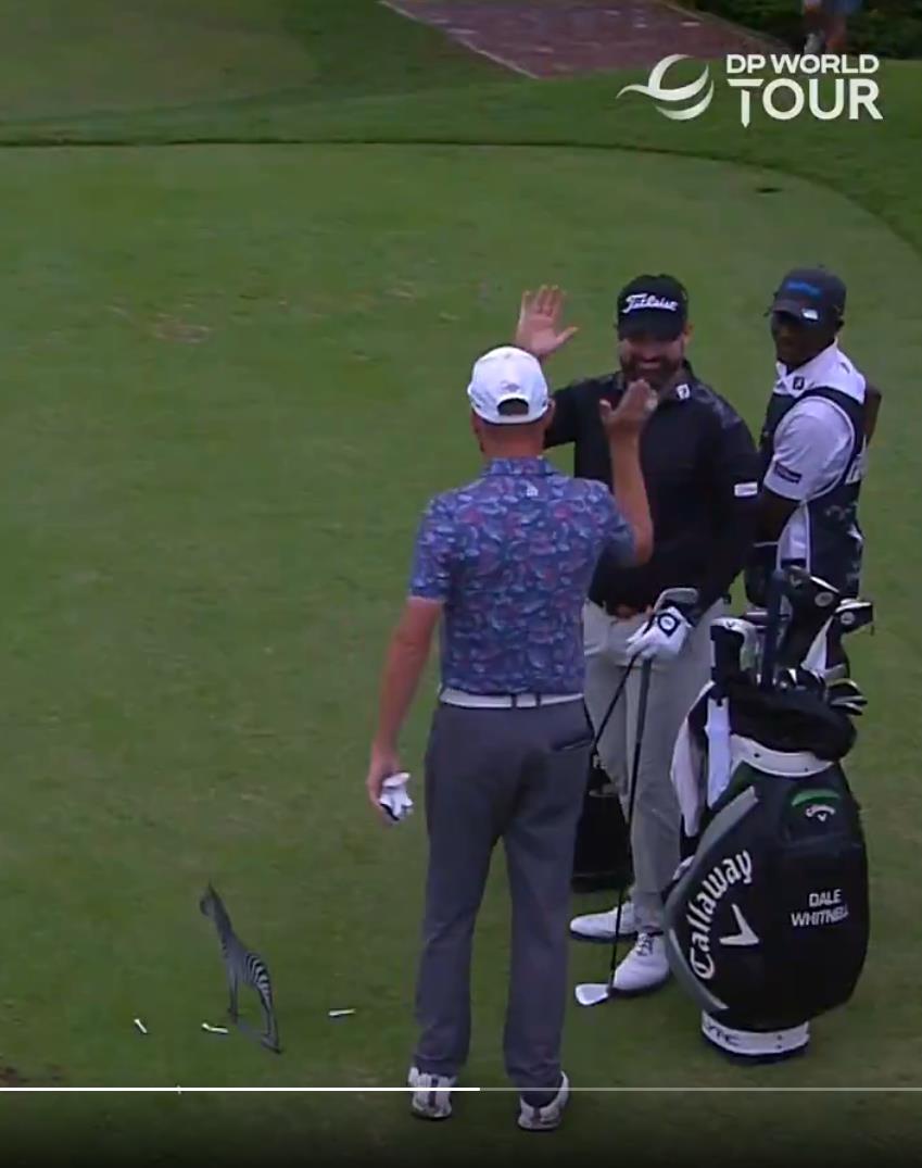 Golfers high-fiving on a green with a zebra in the background.