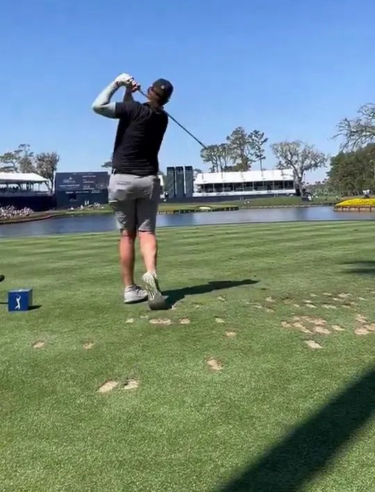 Golfer taking a shot on a golf course.