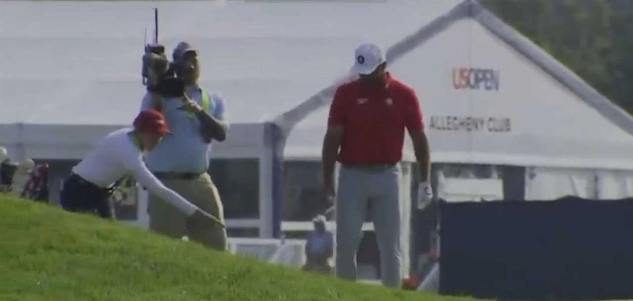 Golfer searching for a golf ball on the course.