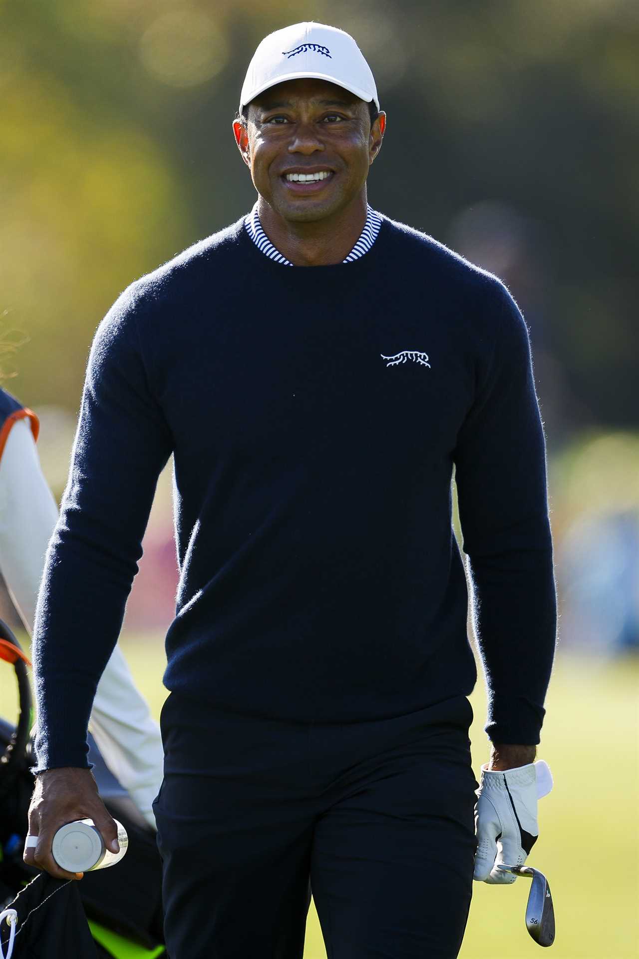 Tiger Woods smiling at a golf course.