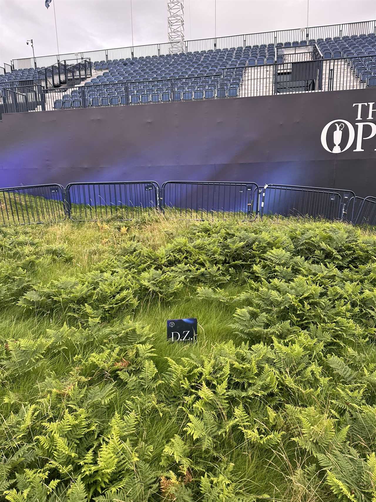 Ferns and grass in front of bleachers at The Open.