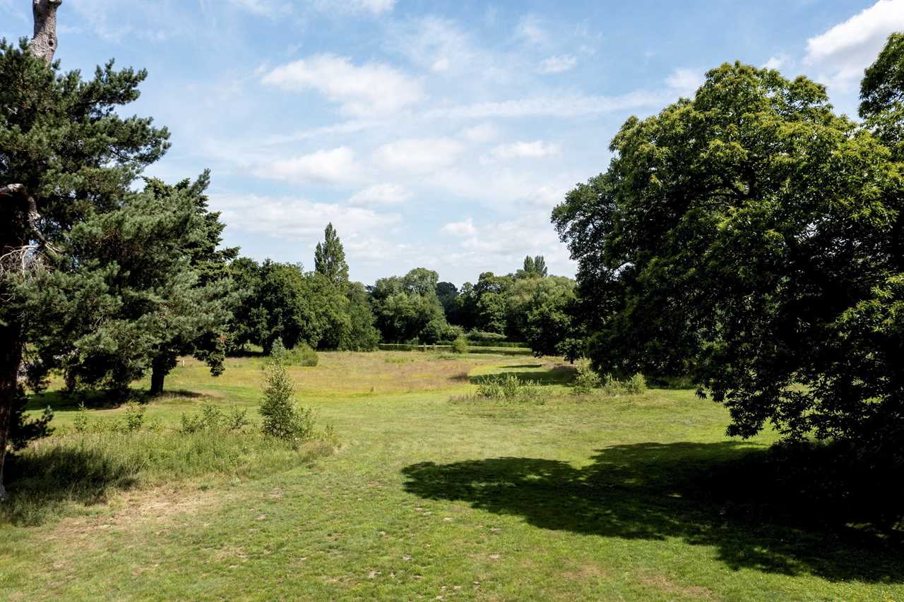 Rolling countryside with trees and a small lake.