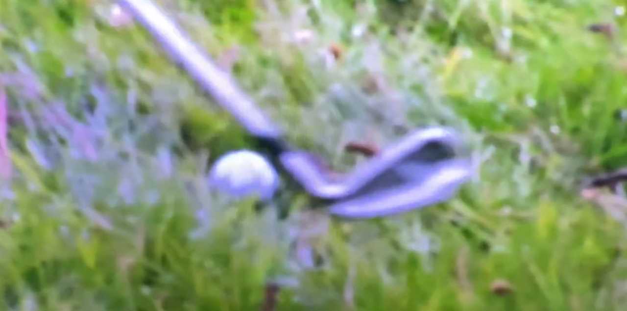 Blurry footage of a golf club near a golf ball on the green.