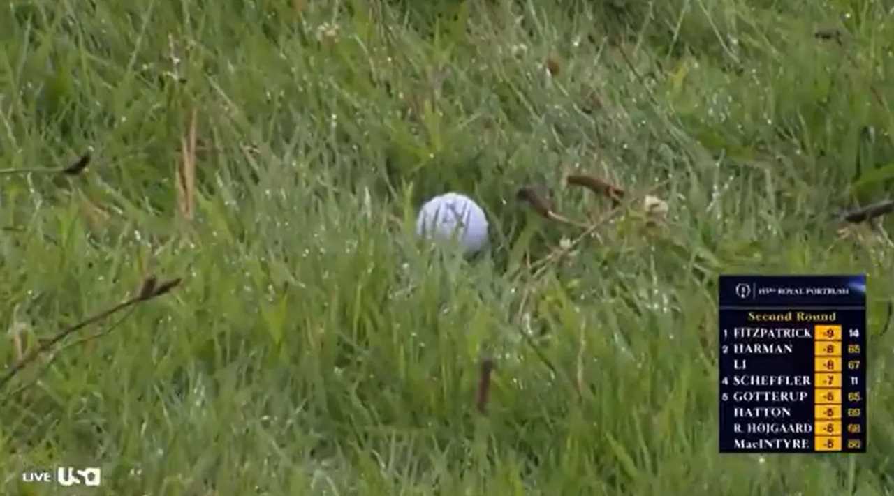 Golf ball in the rough; leaderboard shown.